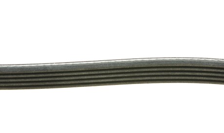 Фото 3 - Ремінь приводний INA FB 5PK1800 (FB5PK1800)