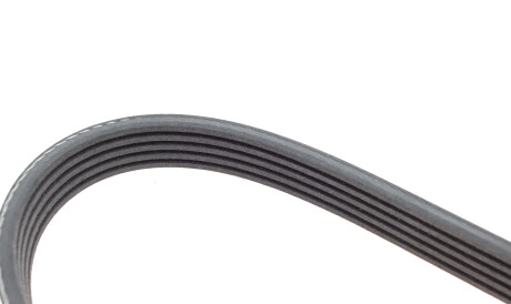 Фото 3 - Ремень приводной INA FB 5PK1810 (FB5PK1810)