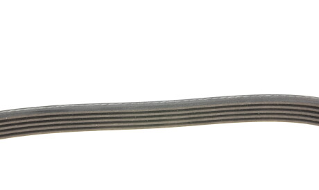 Фото 3 - Ремень приводной INA FB 5PK1850