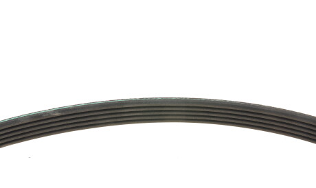 Фото 3 - Ремінь приводний INA FB 5PK813 (FB5PK813)