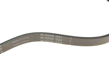 Фото 4 - Ремінь приводний INA FB 5PK813 (FB5PK813)