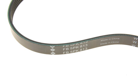 Фото 5 - Ремінь приводний INA FB 5PK813 (FB5PK813)