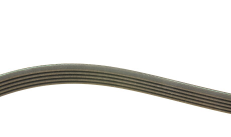 Фото 3 - Ремінь приводний INA FB 5PK830 (FB5PK830)