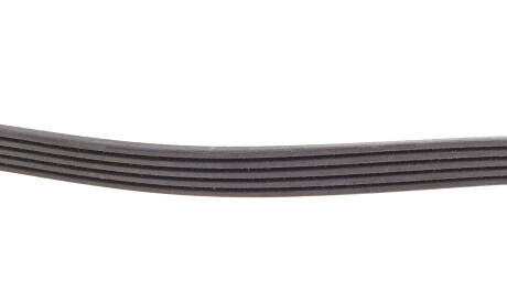 Фото 3 - Ремень приводной INA FB 5PK880 (FB5PK880)