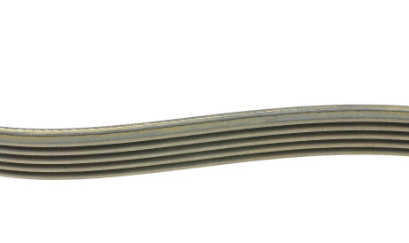 Фото 2 - Ремінь приводний INA FB 5PK975 (FB5PK975)