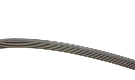 Фото 3 - Ремінь приводний INA FB 5XPK1665 (FB5XPK1665)