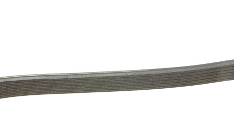 Фото 3 - Ремінь приводний INA FB 6APK1120 (FB6APK1120)