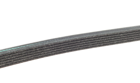 Фото 3 - Ремень приводной INA FB 6DPK1698 (FB6DPK1698)