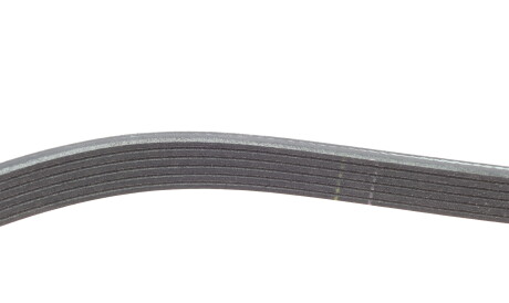 Фото 3 - Ремінь приводний INA FB 6EPK831 (FB6EPK831)