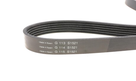 Фото 2 - Ремінь приводний INA FB 6PK1003 (FB6PK1003)