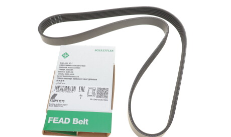 Фото 2 - Ремень приводной INA FB 6PK1070 (FB6PK1070)