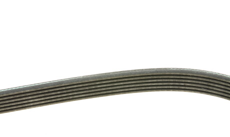 Фото 3 - Ремень приводной INA FB 6PK1105 (FB6PK1105)