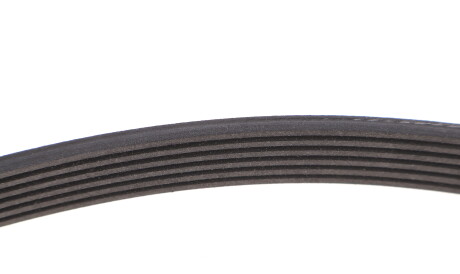 Фото 3 - Ремінь приводний INA FB 6PK1113 (FB6PK1113)