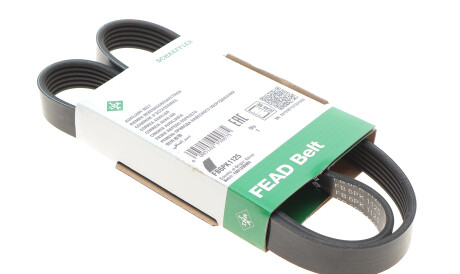 Фото 2 - Ремінь приводний INA FB 6PK1125 (FB6PK1125)