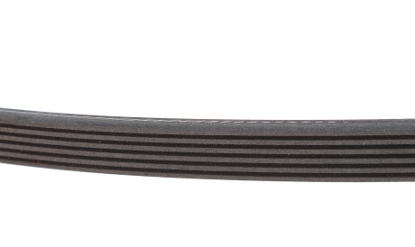 Фото 3 - Ремень приводной INA FB 6PK1195 (FB6PK1195)