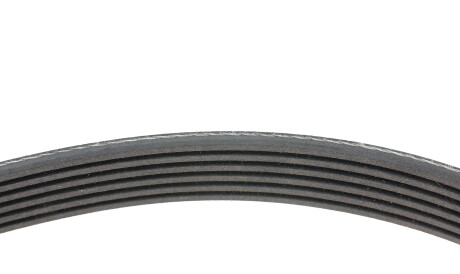 Фото 2 - Ремень приводной INA FB 6PK1245 (FB6PK1245)