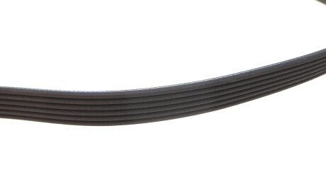 Фото 3 - Ремінь приводний INA FB 6PK1352 (FB6PK1352)