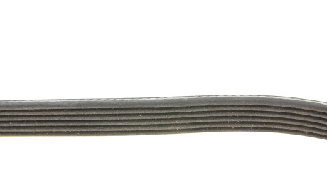 Фото 3 - Ремінь приводний INA FB 6PK1540 (FB6PK1540)