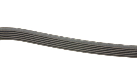 Фото 2 - Ремінь приводний INA FB 6PK1590 (FB6PK1590)