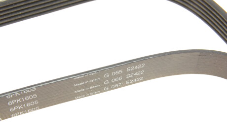 Фото 4 - Ремень приводной INA FB 6PK1605 (FB6PK1605)