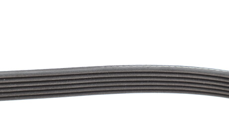 Фото 3 - Ремінь приводний INA FB 6PK1613 (FB6PK1613)