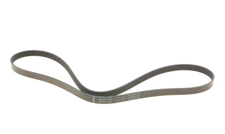 Фото 2 - Ремінь приводний INA FB 6PK1623 (FB6PK1623)