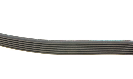 Фото 3 - Ремінь приводний INA FB 6PK1623 (FB6PK1623)