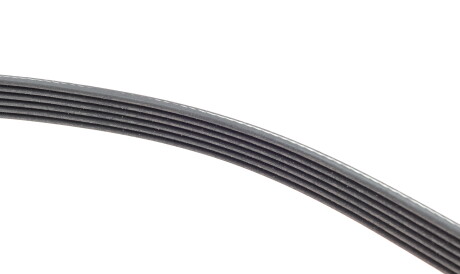 Фото 3 - Ремень приводной INA FB 6PK1840 (FB6PK1840)