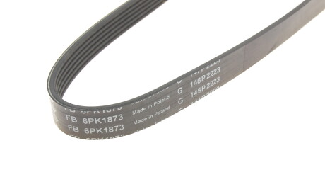 Фото 3 - Ремень приводной INA FB 6PK1873 (FB6PK1873)