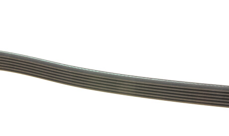 Фото 3 - Ремень приводной INA FB 6PK1950 (FB6PK1950)