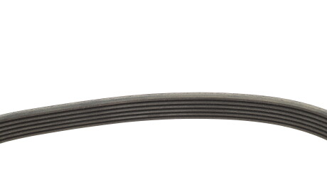 Фото 2 - Ремень приводной INA FB 6PK1955 (FB6PK1955)