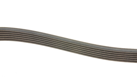 Фото 3 - Ремінь приводний INA FB 6PK2413 (FB6PK2413)