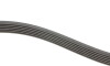 Ремінь генератора MB S-class (W221/W222)/E-class (W212) 4.7-5.5 11-17/Porsche Macan 3.0-3.6 14- - (0029936796, 0039934796, 0039936796) INA FB 6PK2528 (фото 2)