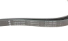 Ремінь генератора MB S-class (W221/W222)/E-class (W212) 4.7-5.5 11-17/Porsche Macan 3.0-3.6 14- - (0029936796, 0039934796, 0039936796) INA FB 6PK2528 (фото 3)