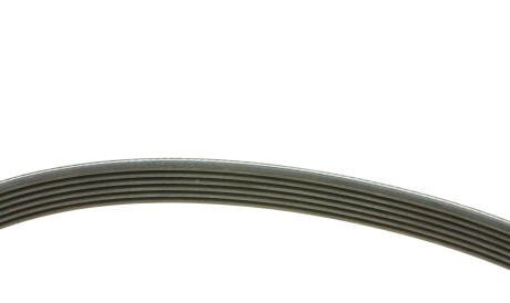 Фото 2 - Ремень приводной INA FB 6PK675