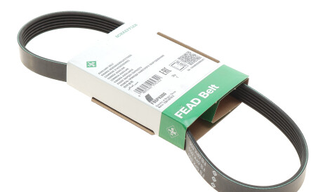 Фото 2 - Ремень приводной INA FB 6PK800 (FB6PK800)