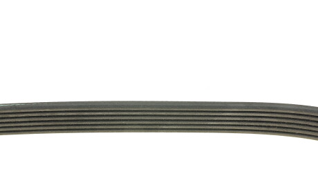 Фото 2 - Ремень приводной INA FB 6PK875 (FB6PK875)