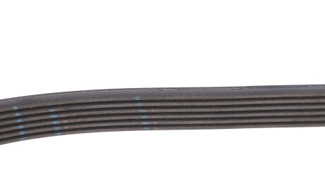 Фото 3 - Ремінь приводний INA FB 6PK975 (FB6PK975)