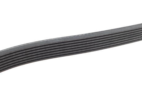 Фото 3 - Ремень приводной INA FB 7PK1515 (FB7PK1515)