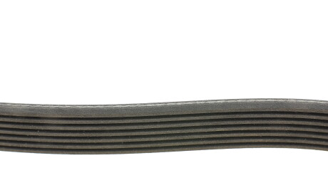 Фото 2 - Ремень приводной INA FB 7PK1545 (FB7PK1545)