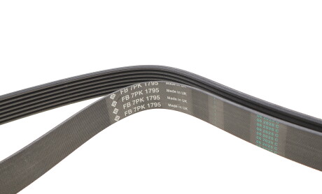 Фото 7 - Ремінь приводний INA FB 7PK1795 (FB7PK1795)