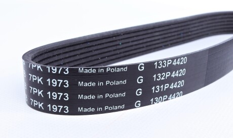 Фото 2 - Ремінь приводний INA FB 7PK1973 (FB7PK1973)