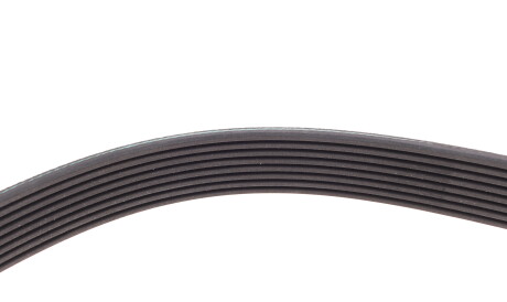 Фото 3 - Ремень приводной INA FB 8PK1226 (FB8PK1226)