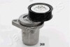 Натяжная планка, поликлиновой ремень - (l3C115909, LFG115980C, LFA115909) JAPANPARTS TS-308 (фото 1)