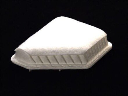 Фото 2 - Воздушный фильтр JC PREMIUM B22109PR