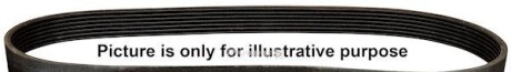 Ремінь поліклиновий 6PK2590 - (2521225000, 0009931496, 0109979892) JP GROUP 1318105400 (фото 1)