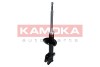 Амортизатор - ((RPB000040, RPB000050, RPD102180, RPD102190, RPM000020)) KAMOKA 2000284 (фото 1)