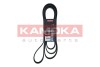 PASEK MICRO-V 7 PK 2842 - KAMOKA 7017048 (фото 1)