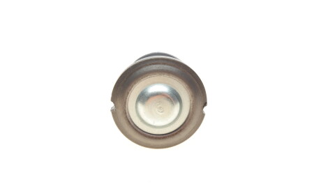 Фото 2 - Рычаг KAPIMSAN 03-04201 (0304201)