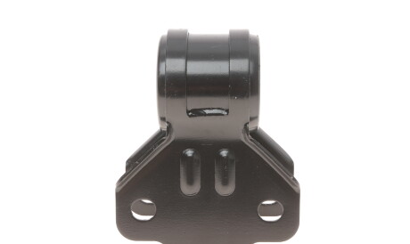 Фото 3 - Рычаг KAPIMSAN 0-53-08-0798 (053080798)